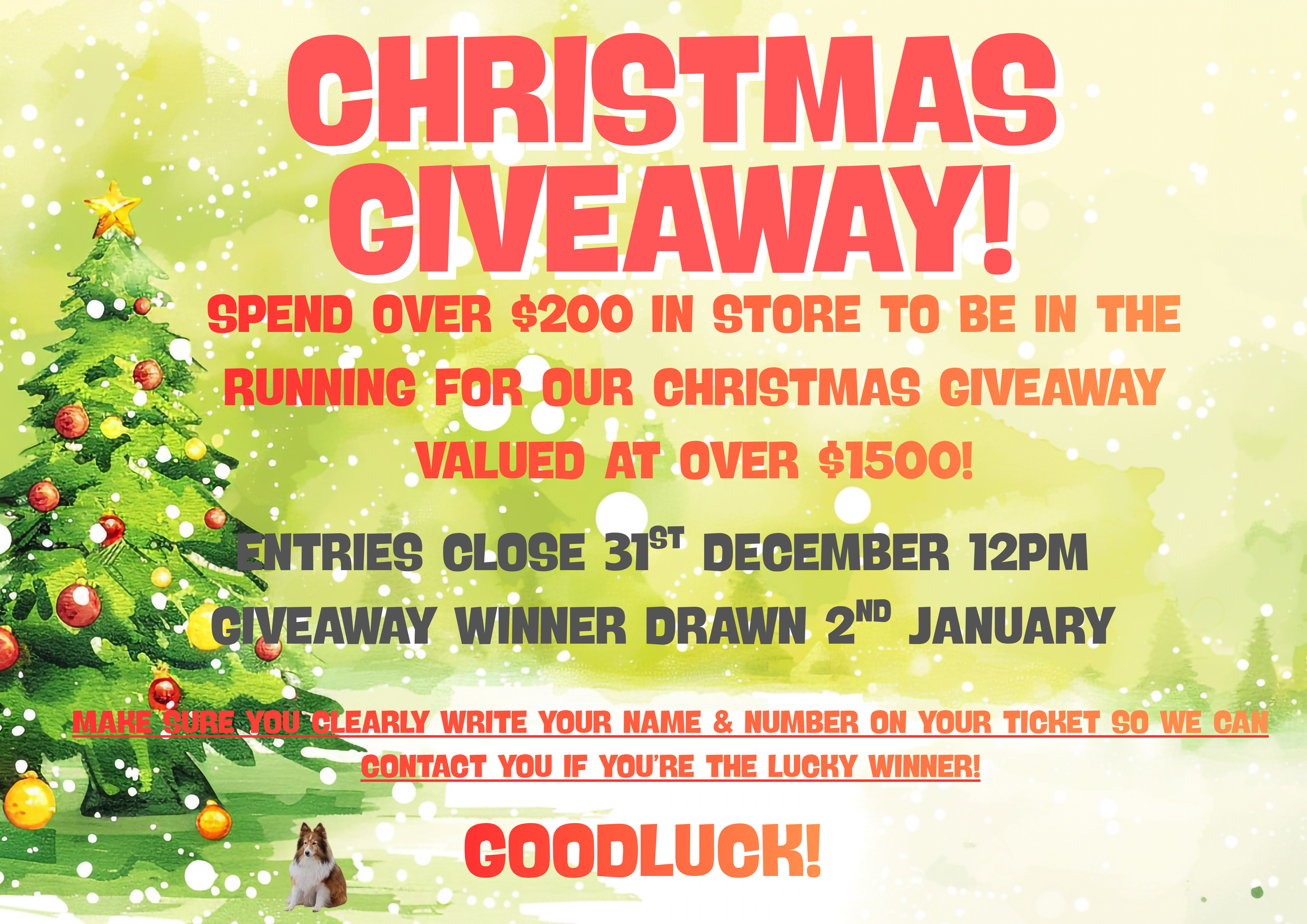 CHRISTMAS GIVEAWAY! CHRISTMAS GIVEAWAY!