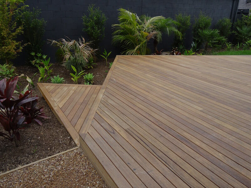 Spotted Gum