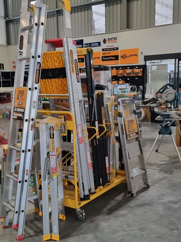 Ladders - GT Pine